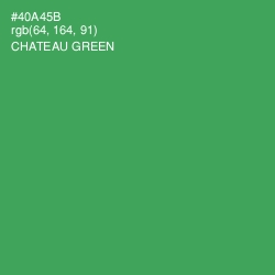 #40A45B - Chateau Green Color Image