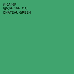 #40A46F - Chateau Green Color Image