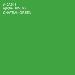 #40A541 - Chateau Green Color Image