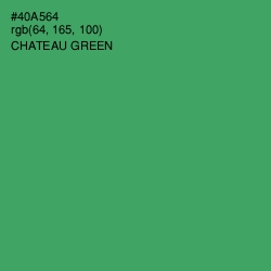 #40A564 - Chateau Green Color Image