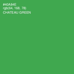 #40A84E - Chateau Green Color Image