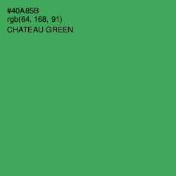 #40A85B - Chateau Green Color Image