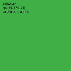 #40AE47 - Chateau Green Color Image