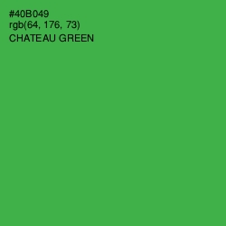 #40B049 - Chateau Green Color Image