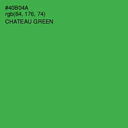 #40B04A - Chateau Green Color Image