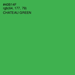 #40B14F - Chateau Green Color Image