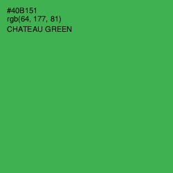 #40B151 - Chateau Green Color Image