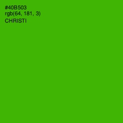 #40B503 - Christi Color Image