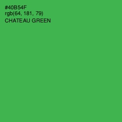 #40B54F - Chateau Green Color Image