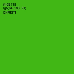 #40B715 - Christi Color Image