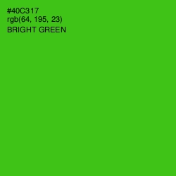 #40C317 - Bright Green Color Image