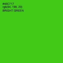 #40C717 - Bright Green Color Image