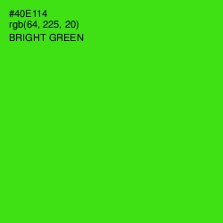 #40E114 - Bright Green Color Image