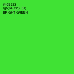 #40E233 - Bright Green Color Image