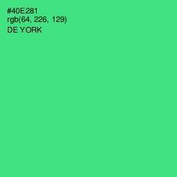 #40E281 - De York Color Image