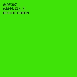 #40E307 - Bright Green Color Image