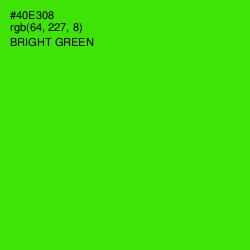 #40E308 - Bright Green Color Image