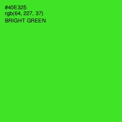 #40E325 - Bright Green Color Image
