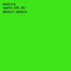 #40E41A - Bright Green Color Image