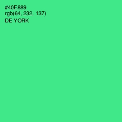 #40E889 - De York Color Image