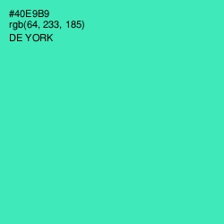 #40E9B9 - De York Color Image