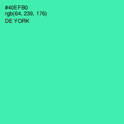 #40EFB0 - De York Color Image