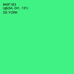 #40F183 - De York Color Image