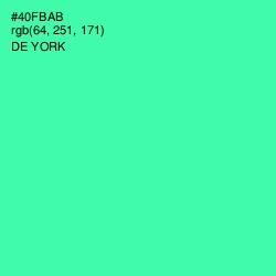 #40FBAB - De York Color Image