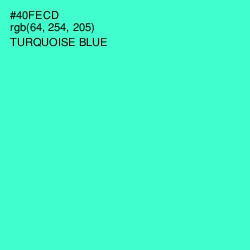 #40FECD - Turquoise Blue Color Image