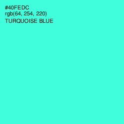#40FEDC - Turquoise Blue Color Image