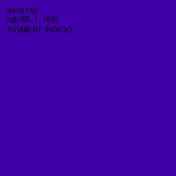 #4101A9 - Pigment Indigo Color Image