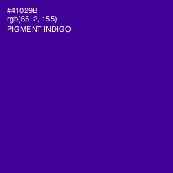 #41029B - Pigment Indigo Color Image