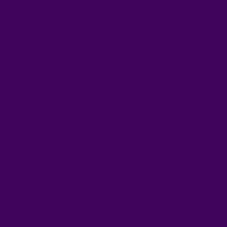 #41045D - Ripe Plum Color Image