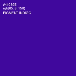 #41089E - Pigment Indigo Color Image