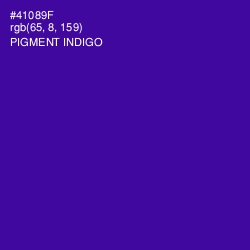 #41089F - Pigment Indigo Color Image
