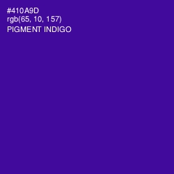 #410A9D - Pigment Indigo Color Image