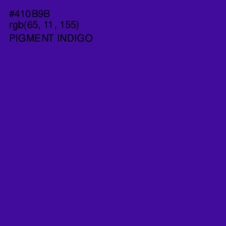 #410B9B - Pigment Indigo Color Image