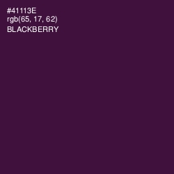 #41113E - Blackberry Color Image