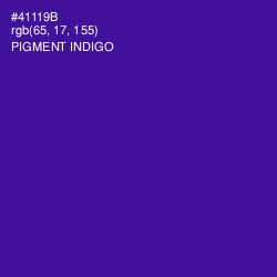 #41119B - Pigment Indigo Color Image