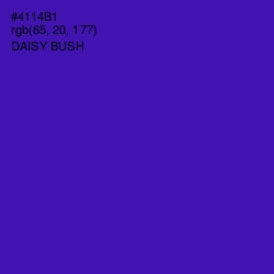 #4114B1 - Daisy Bush Color Image