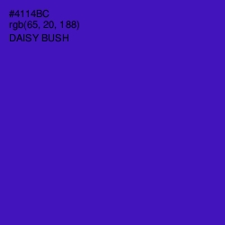 #4114BC - Daisy Bush Color Image