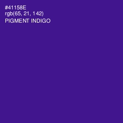 #41158E - Pigment Indigo Color Image