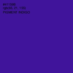 #41159B - Pigment Indigo Color Image