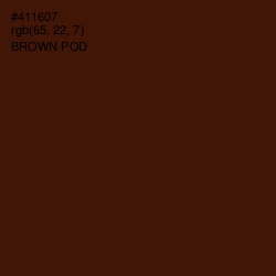 #411607 - Brown Pod Color Image