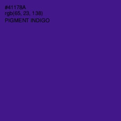 #41178A - Pigment Indigo Color Image