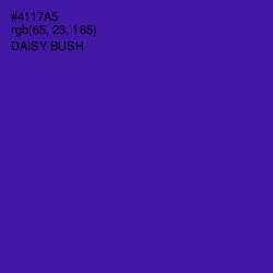 #4117A5 - Daisy Bush Color Image