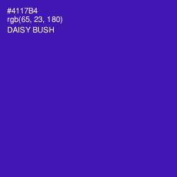 #4117B4 - Daisy Bush Color Image