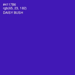 #4117B6 - Daisy Bush Color Image
