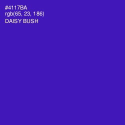 #4117BA - Daisy Bush Color Image