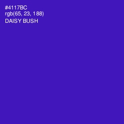 #4117BC - Daisy Bush Color Image